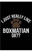 I Just Really Like Boxmatian Ok?