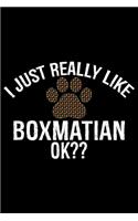 I Just Really Like Boxmatian Ok?: Cool Boxmatian Dog Journal Notebook Boxmatian Puppy Lover Diary Gifts Funny Boxmatian Dogs Notebook Boxmatian Owner Gifts