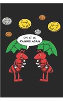 Oh, It Is Raining Again.