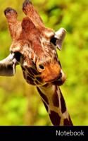 Notebook: Jirafa, Animal, Expresión Facial, Mimic Cuaderno / Diario / Libro de escritura / Notas - 6 x 9 pulgadas (15.24 x 22.86 cm), 150 páginas, superficie 