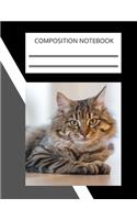 Composition Notebook, Notebooks are important: 110 Ruled Pages (8.5 x 11 in): College Ruled Blank Lined Cute Notebooks for Girls Teens Kids School Writing Notes Journal (8.5 x 11 in)