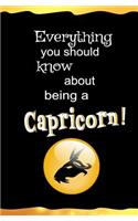 Everything You Should Know About Being a Capricorn