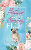 Mother of the World's Most Amazing Pug