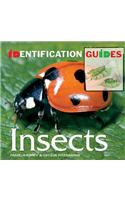 Insects
