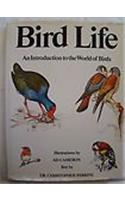 Bird Life: An Introduction to the World of Birds
