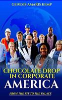 Chocolate Drop in Corporate America