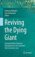 Reviving the Dying Giant