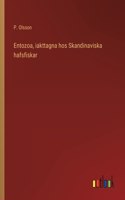 Entozoa, iakttagna hos Skandinaviska hafsfiskar