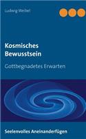 Kosmisches Bewusstsein