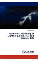 Numerical Modeling of Lightning, Blue Jets, and Gigantic Jets