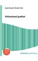 Yellowhead Jawfish