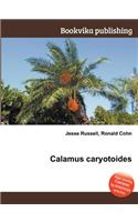 Calamus Caryotoides: (English)