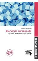 Dioryctria Auranticella