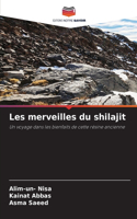 Les merveilles du shilajit