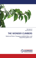 Wonder Climbers