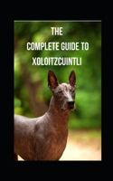 The Complete Guide to Xoloitzcuintli