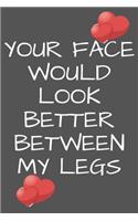 Your Face Would Look Better Between My Legs: Valentines Day Notebook Valentine's Day Lined Journal With Funny Quote