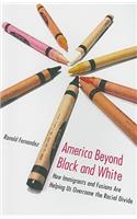 America Beyond Black and White