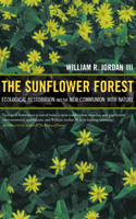 Sunflower Forest