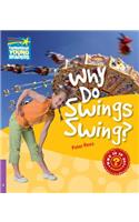 Why Do Swings Swing? Level 4 Factbook