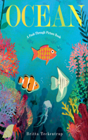 Ocean: A Peek-Through Picture Book