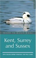 Where to Watch Birds in Kent and Sussex: Where to Watch Birds Series