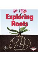 Exploring Roots