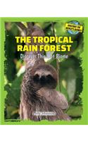 Tropical Rain Forest