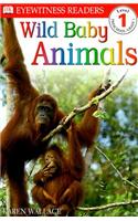 Wild Baby Animals