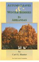 Autumn Leaves & Winter Berries in Arkansas