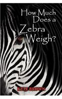 How Much Does a Zebra Weigh?