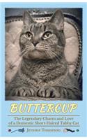 Buttercup - The Legendary Charm and Love of a Domestic Short-Haired Tabby Cat