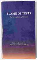 Flame of Tests