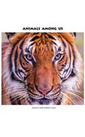 Animals Among Us