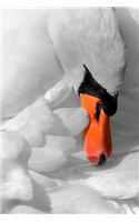 Swan Dreaming Journal