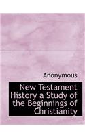 New Testament History a Study of the Beginnings of Christianity