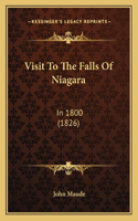 Visit To The Falls Of Niagara