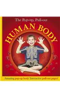 Pop-Up, Pull-Out Human Body