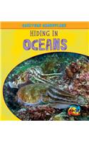 Hiding in Oceans: (Creature Camouflage)