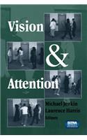 Vision and Attention
