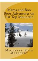Mama and Boo Boo's Adventures on Flat Top Mountain