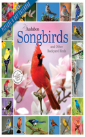 Audubon Songbirds and Other Backyard Birds Picture-A-Day Wall Calendar 2022