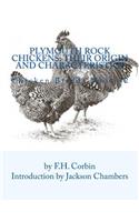 Plymouth Rock Chickens
