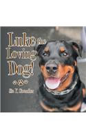 Luke the Loving Dog!