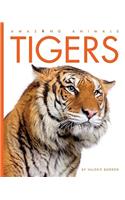 Tigers: (Amazing Animals)