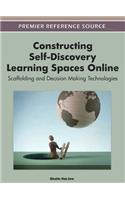 Constructing Self-Discovery Learning Spaces Online
