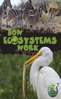 How Ecosystems Work: (My Science Library)