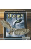 What Is a Poem?
