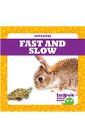 Fast and Slow