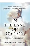 In the Land of Cotton